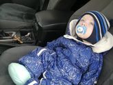 Прикорм 8 мес и аллергия