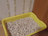 Всем у кого есть коты/кошки