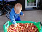 Последнее тепло:)