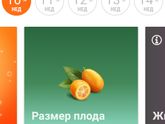 10 недель ❤️