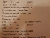 11 недель и 3 дня?