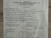 Первое УЗИ
