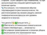 Чем вылечить зелёные сопли?