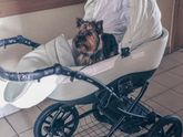 Приехала наша коляска.