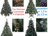 Елки/сосны Украина. БЕСПЛАТНАЯ доставка + ПОДАРОК