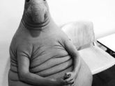 40 недель-пдр, я-ждун