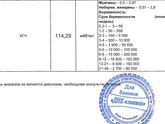 Хгч растёт!