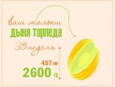 3️⃣5️⃣ недель ?.