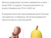 Девятый месяц ?