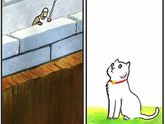 Вся суть котов?