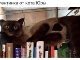 С праздником 🤣🤣🤣🤣🤣🤣🤣