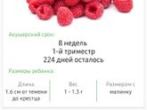 Моим зайкам 8 недель?