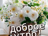 Всем доброе утро!!!????Всем