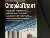 Девочки ваши мужья пили