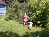 #Дачные хроники 7. Господин великий холод.