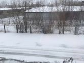 Погода так и шепчет