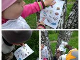 Наши игры на природе!