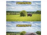 Продолжение..