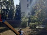 Сегодня у моего сына