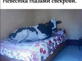 🤣🤣🤣🤣🤣
