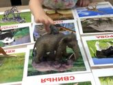 Где можно найти таких