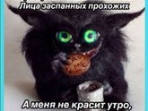 А может и вправду сон в руку