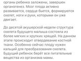 Началась 10я неделя. Пост про кальций
