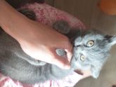Карантин 3-2-1