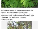 Аллергия, выяснили на что.