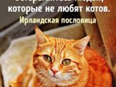 Фотография 2019-09-19 21:21:02