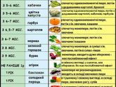 Схема прикорма (для себя)