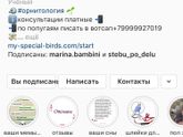 Найдёныш