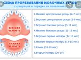 Всем привет!Девочки,у