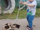 Про гв)