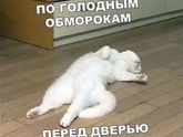 Фотография 2020-02-15 16:09:18