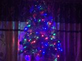 А вы уже нарядили красавицу? 🎄