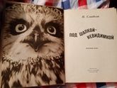 Сказки на ночь читаем,