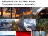 Сибирь((