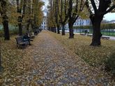 Фотография 2020-11-02 00:13:39