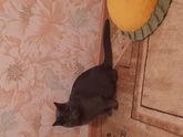 Наша красотка 🥰.