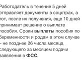 Декретные от ФСС