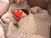 ❤️❤️❤️