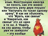 Про русский язык
