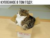 Вот жиза же а :(