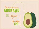 1️⃣6️⃣ недель ???.