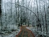 С первым снегом ❄?