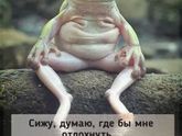 Баянчики)