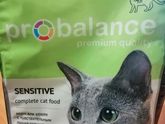 Котёнок