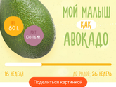 15 недель.