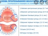 Обильное слюнотечение у ребенка в 2 года